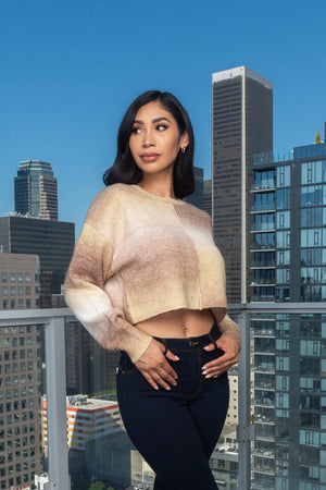 Soft Two Tones Knit Round Neck Crop Sweater