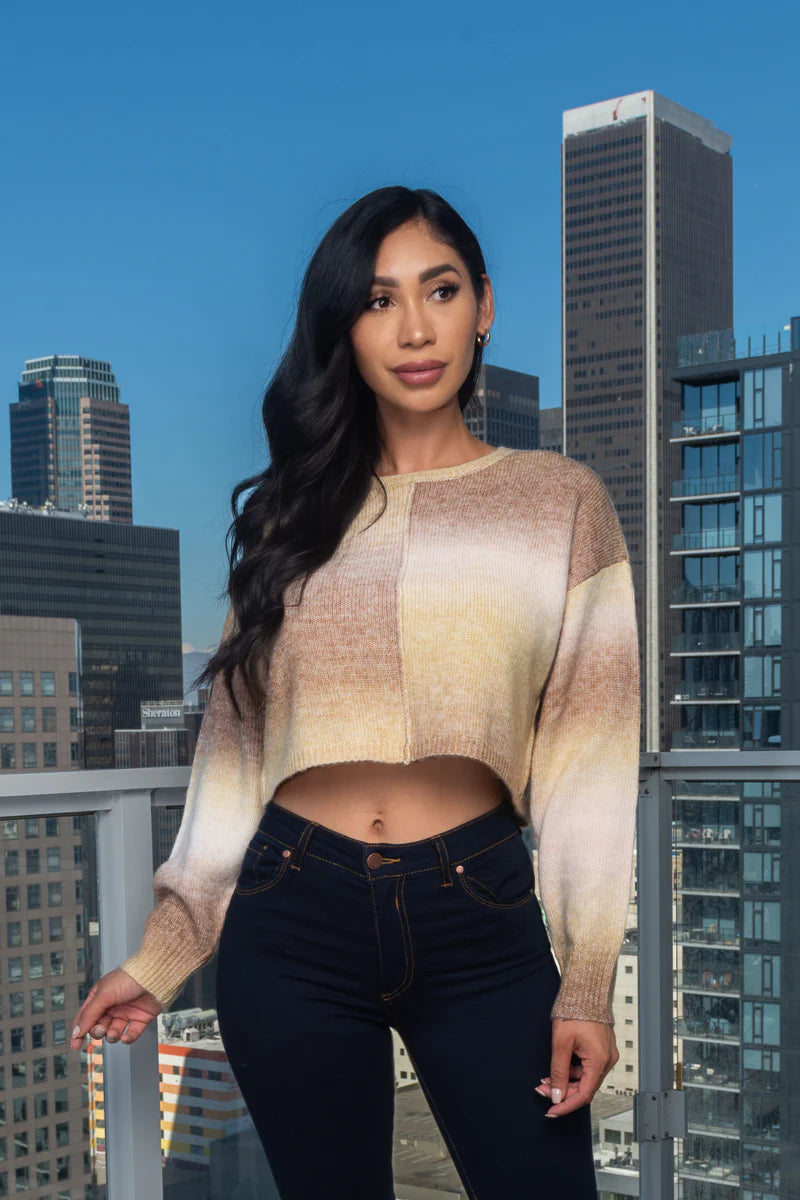 Soft Two Tones Knit Round Neck Crop Sweater